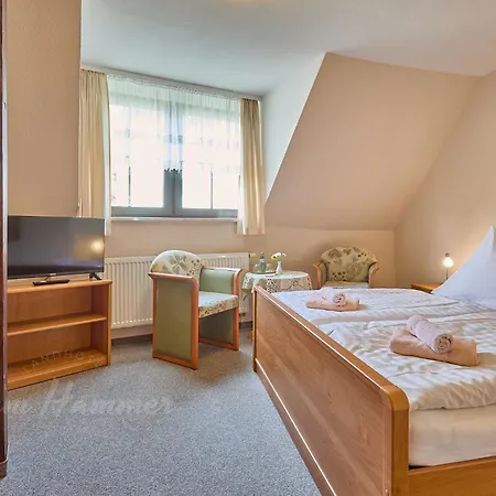 Zum Hammer 3* Tannenberg