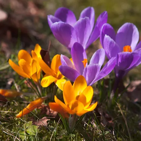 Zum Hammer Vendégház Tannenberg