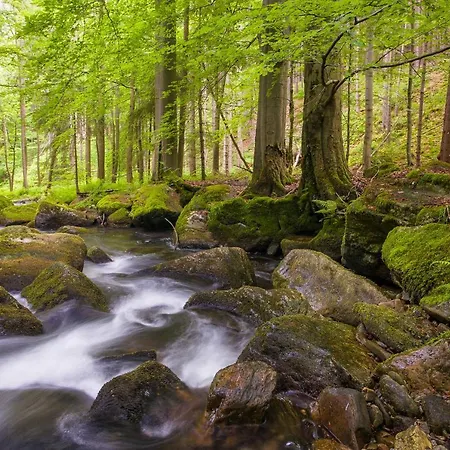 Zum Hammer Tannenberg